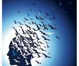 The Mind is Everything … you are what you think.